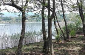 Agriturismo Pastorelli - Foto 6