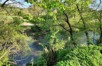 Temat Rzeka jeden domek na działce - Photo 29