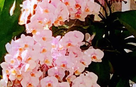 Palm Beach Island Condominiums - Photo 31