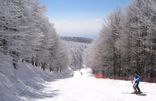 La balena bianca house - Foto 36