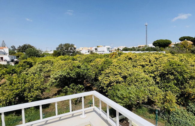 Lara Lima CIP - Photo 40