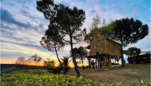 Cortijo señora de las Angustias 2 - Foto 4