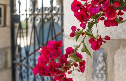 Casa Terra Mani - Photo 34