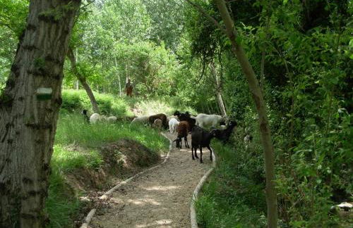 Apartamentos Rurales El Palomar - Foto 16