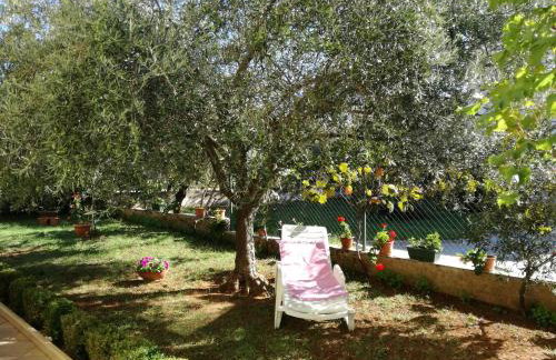 Apartmani Jenny - Photo 52