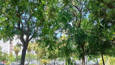 Mediterranean Sea Views Apartment in Huelin - Foto 3