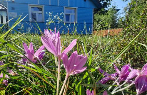 Kraska Dom Wakacyjny w Sercu Puszczy Białowieskiej - Foto 44