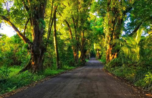 Hale “Hā Hā” - Photo 23