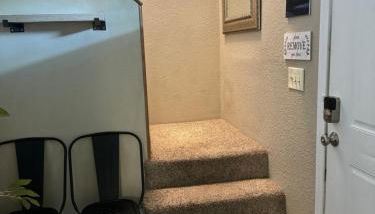 Northern Knights - Foto 3