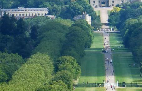 The Cosy Cabin - Foto 16