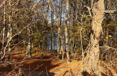 Domek pod Dębami Bogaczewo - Foto 34