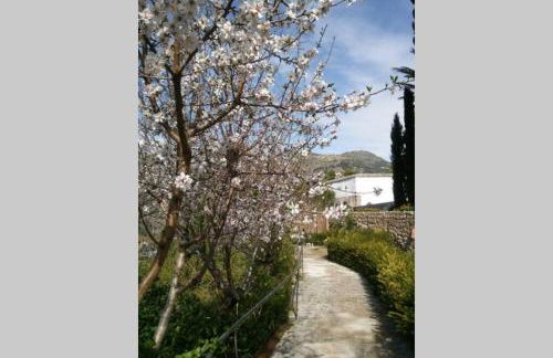 MIRADOR DEL VALLE - Foto 46