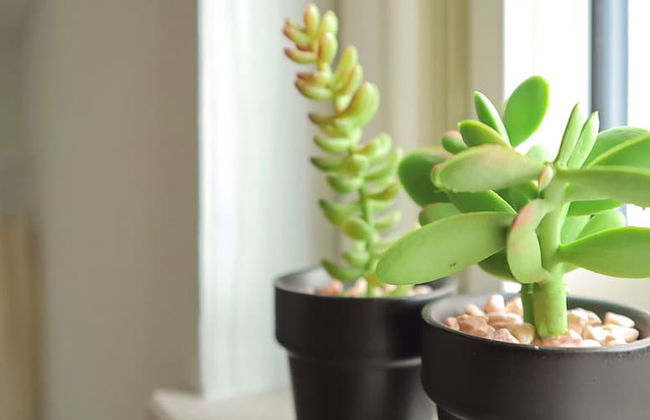 Bayside Hakodate - Foto 9