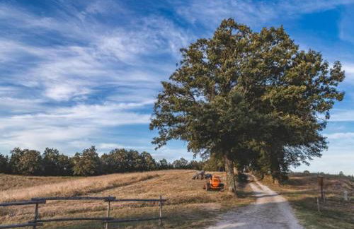 Spacious Farmhouse in Pienza with Swimming Pool - Foto 76