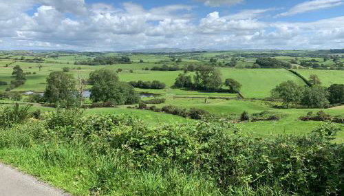 Spring Cottage - Foto 5