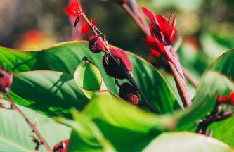 Hotel Rural La Casa Amarilla - Foto 23