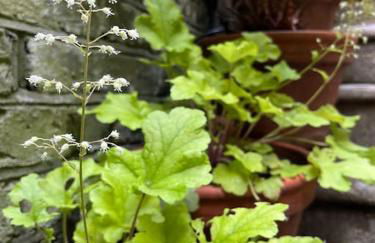 Kings Cross, self-contained house & private garden - Foto 33