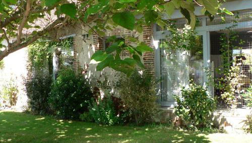 Gîte de charme en Berry avec jardin privatif, idéal pour randonnées et observation des oiseaux - FR-1-591-184 - Foto 2