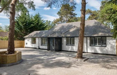 Kiwi Pines forest retreat! - Foto 13