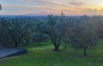 La Costareccia - Foto 17