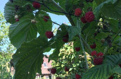 Privat Apartment- Near Strasbourg, Baden Baden - Foto 29