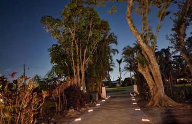 Bridge Escape - Foto 15