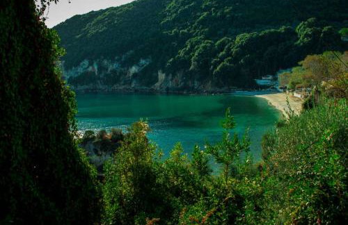 Feel at Home - Photo 1