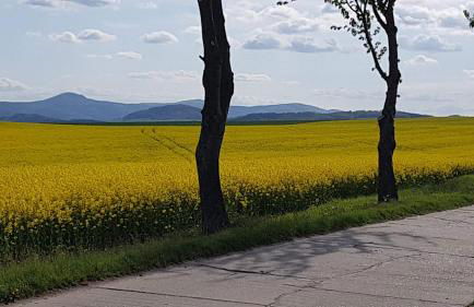 Auf-der-Muehlwiese - Foto 57