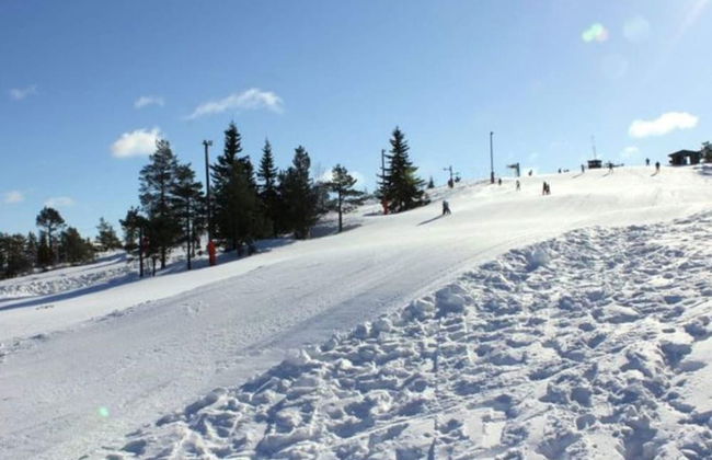 4 Person Holiday Home in Torsby - Foto 8