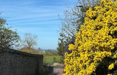 Charmant Cottage d'artistes - Foto 38