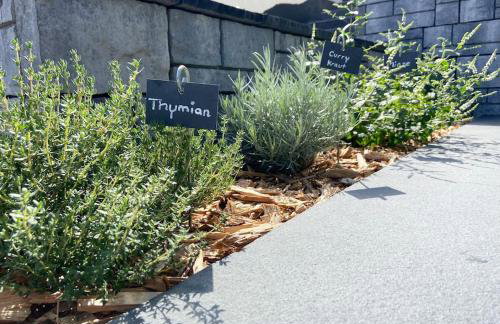 Oh my Deer nagelneues Appartement für Zwei - Foto 6