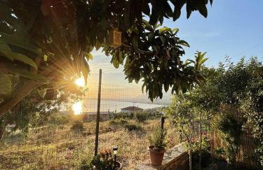 EVELIN STUDIO - Foto 26