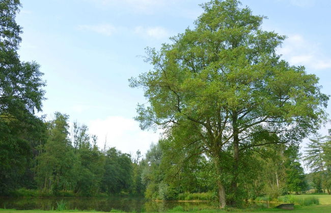 Ardennes Castle Retreat for Groups - Foto 34