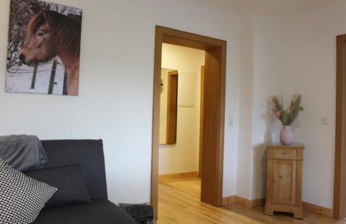 Ferienwohnung Hanfdell am Bostalsee, 90 qm, großer Balkon, barrierefrei & hundefreundlich - Photo 39