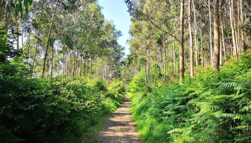 Elantxobe Seaview simple Auto-Checking Property - Foto 3