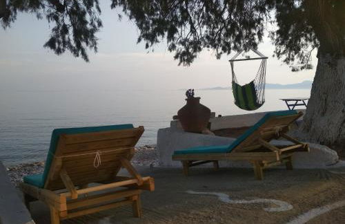 House On The Wave - Foto 2