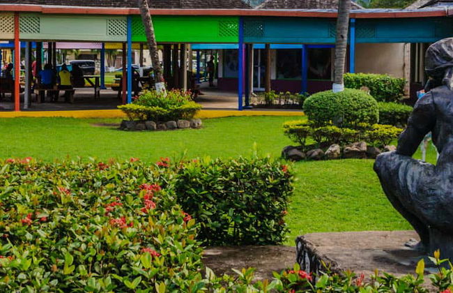 Ocho Rios & Blue Hole Tour - Photo 1