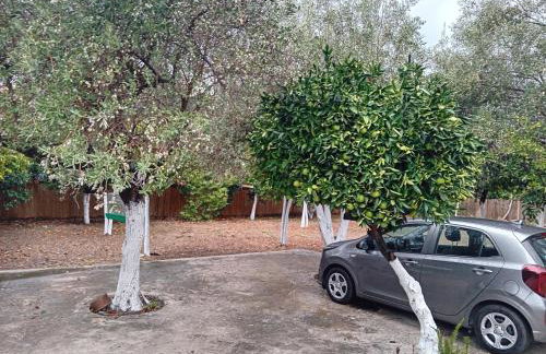 ΆΘΟΣ (ATHOS) - Foto 57