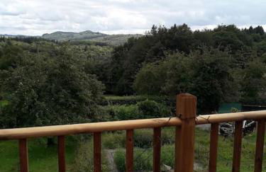 Le petit paradis, mini maison,nature,confort,calme - Foto 40