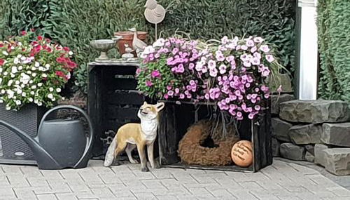 Dachgeschoss35 - Photo 2