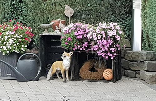 Dachgeschoss35 - Photo 2