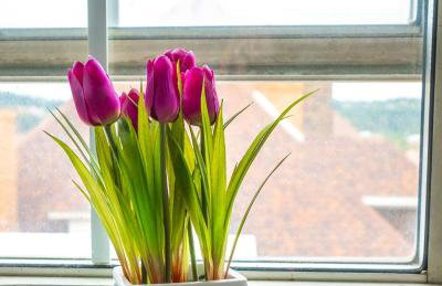 Crow's Nest Crash-Pad - Foto 47