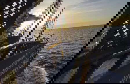 Avistamento de golfinhos ao entardecer - Foto 7