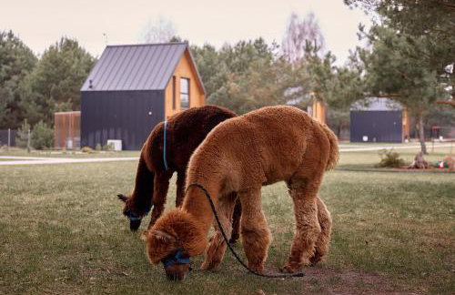 Osada Hygge - Foto 41