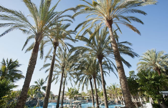 Palm Oasis Maspalomas - Foto 57