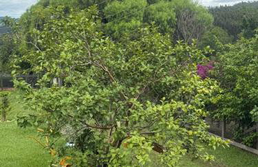 Sítio Alvorada - Paraíso localizado no Circuito das Águas Paulista - Foto 7