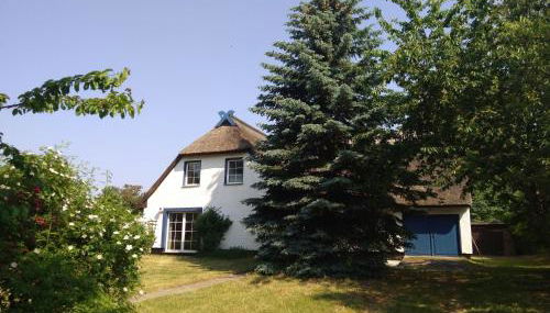 Dat Rügenhus - Foto 3, Garden