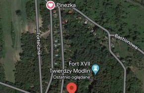 Niezapominajka - Foto 20