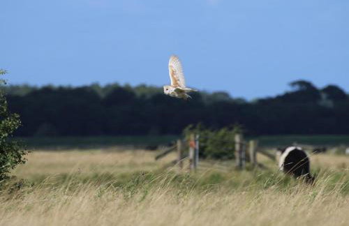 1 Bed in Beccles oc-90192 - Photo 23