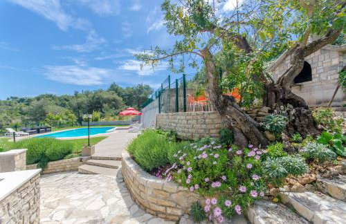 Apartments Drazen - Foto 7